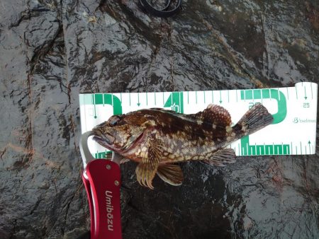 新規開拓は難しい