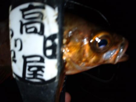 八雲で良型ゲット!!