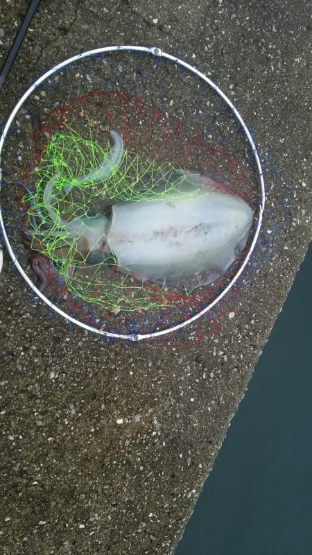 濁りのタフコンからまさかの！？