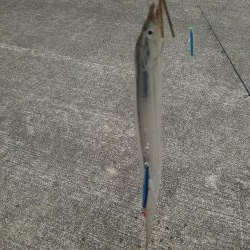 ショアジギングからのラインゲーム