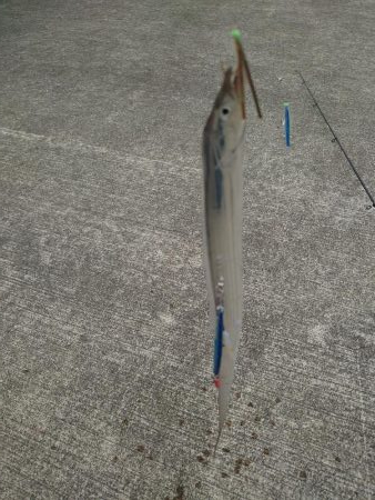 ショアジギングからのラインゲーム