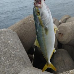 なんとかツバス