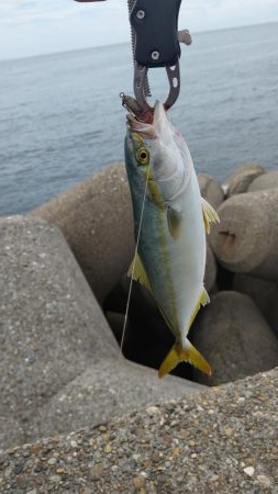 なんとかツバス