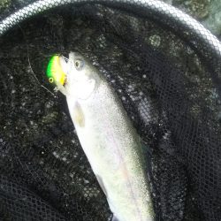 リヴァスポット早戸