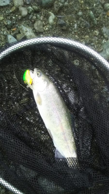 リヴァスポット早戸