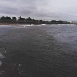 強風のキス釣り