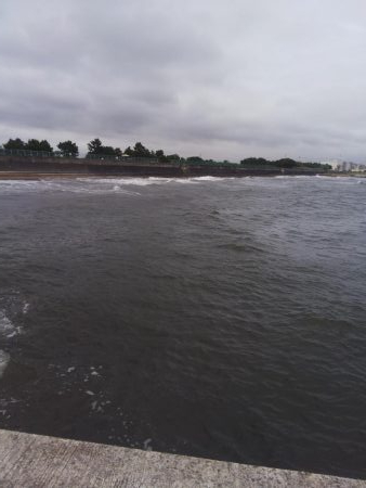 強風のキス釣り