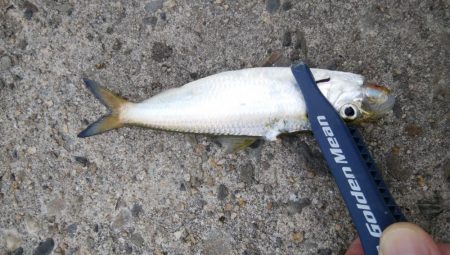 連休初日に3目達成