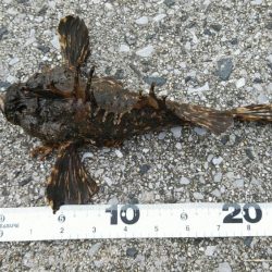 注意喚起も含めて……