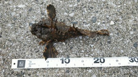 注意喚起も含めて……