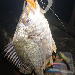 短時間チニング