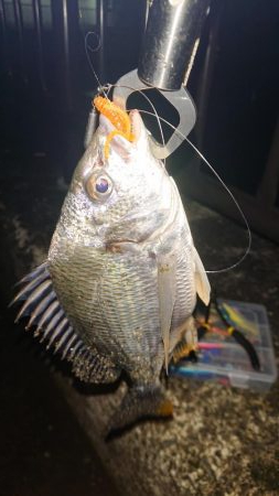 短時間チニング