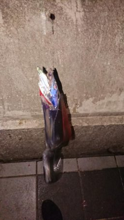 今年初タチウオ