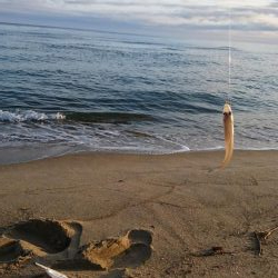 こんな日もあんだな。。