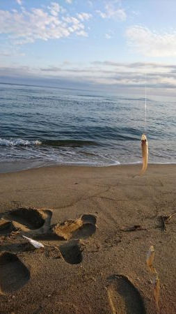 こんな日もあんだな。。