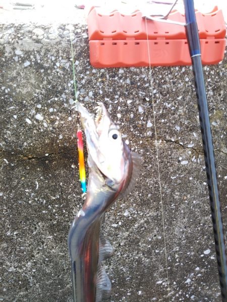 日中も良いペースで……