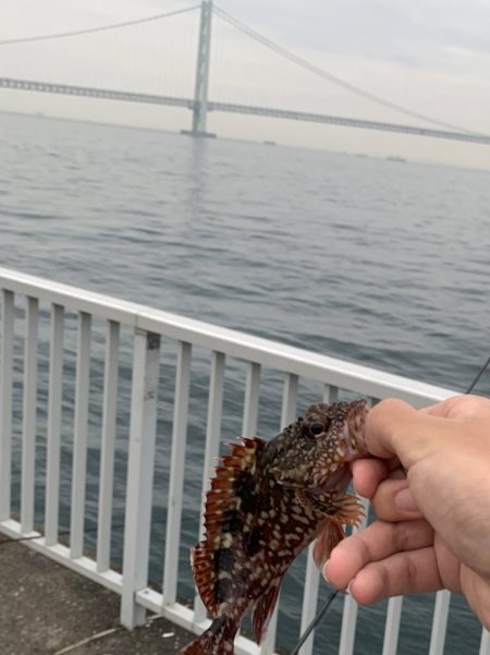 今日はあかんね