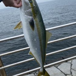 忍耐ショアジギ