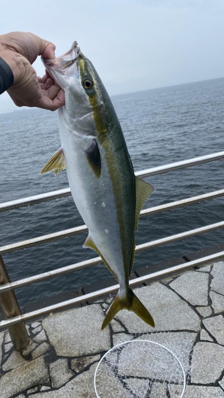 忍耐ショアジギ