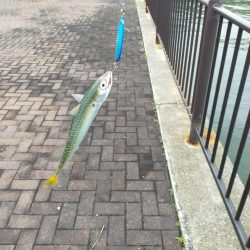 雲の切れ間の30分