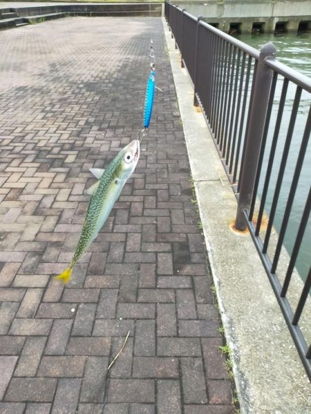 雲の切れ間の３０分