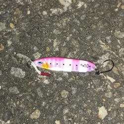 ボラが沸いてます