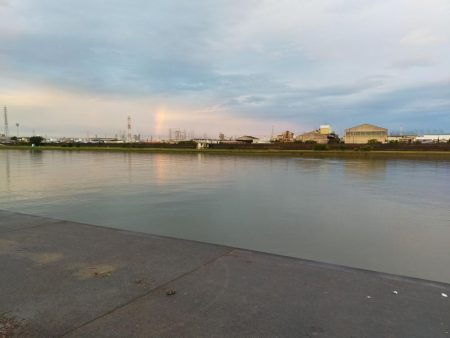 ボラに対する認識が変わりました。