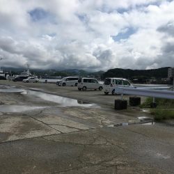 コアジ35匹、コサバ23匹