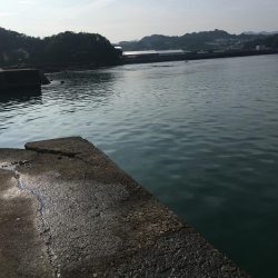 アジ5匹、ガシラ3匹