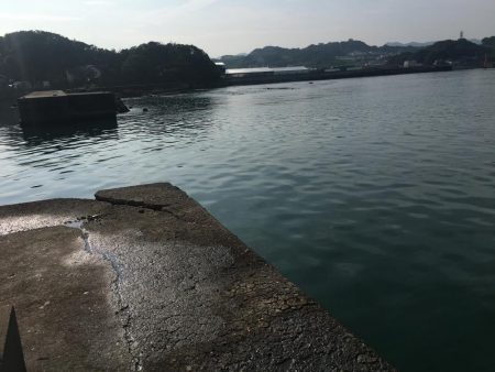 アジ5匹、ガシラ3匹