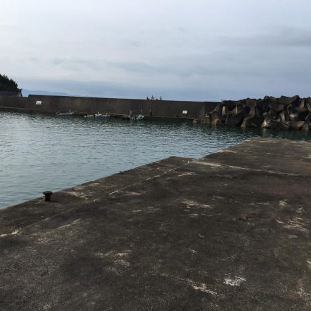 アジ3匹、コサバ26匹