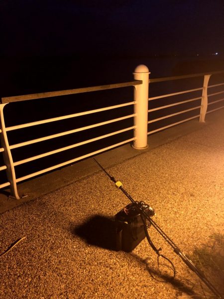 早朝アジングin大阪舞洲2