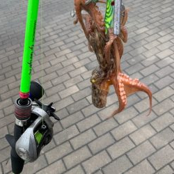 やっとタコ　ツ抜け