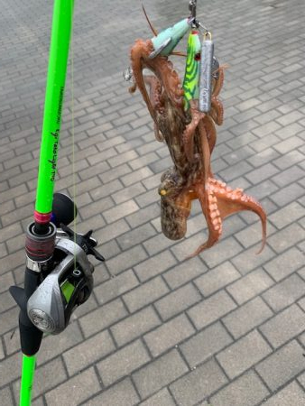 やっとタコ　ツ抜け