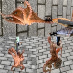 コスモ タコ好調だけど、小さい