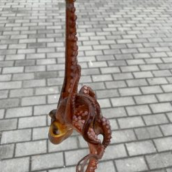 コスモのタコ　渋いけど　10杯