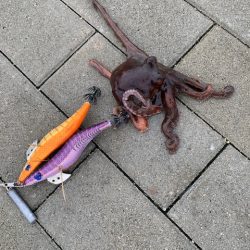 大雨の後は、、、