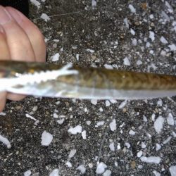 平日休暇を利用して