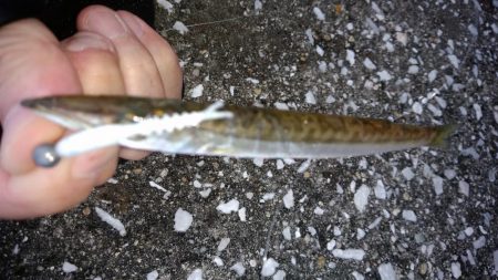 平日休暇を利用して