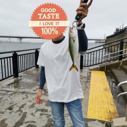 なんとか初ツバスゲット