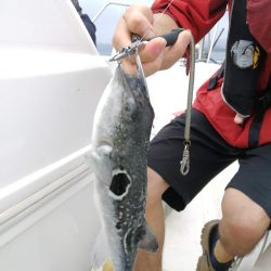 船酔いなんてしないなんて言わないよ絶対