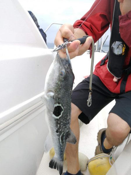 船酔いなんてしないなんて言わないよ絶対