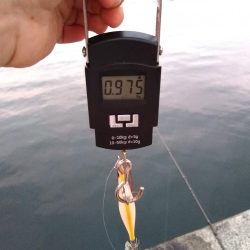 キロはないけど