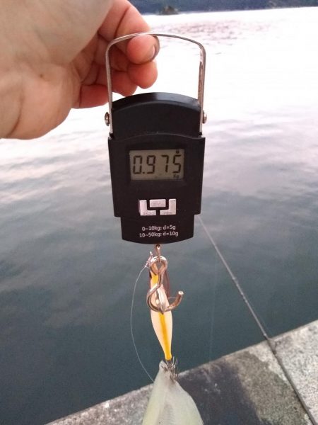 キロはないけど