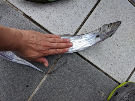 エソいじめ…(笑)