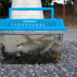 今日も子供と！