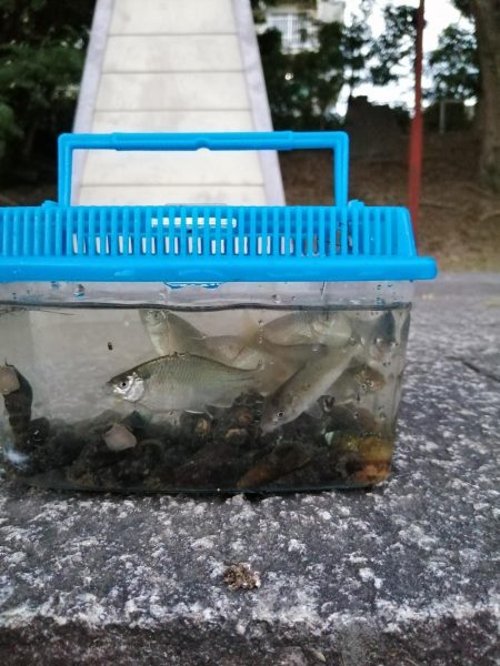 今日も子供と！