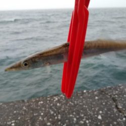 雨のショアジギ