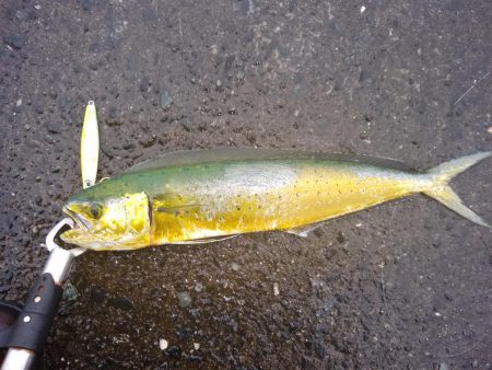 雨の中がんばったよ