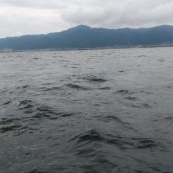 エビモパターン